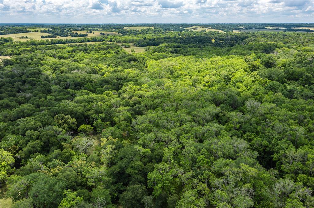 N Meyersville Road, Chappell Hill, Texas image 17