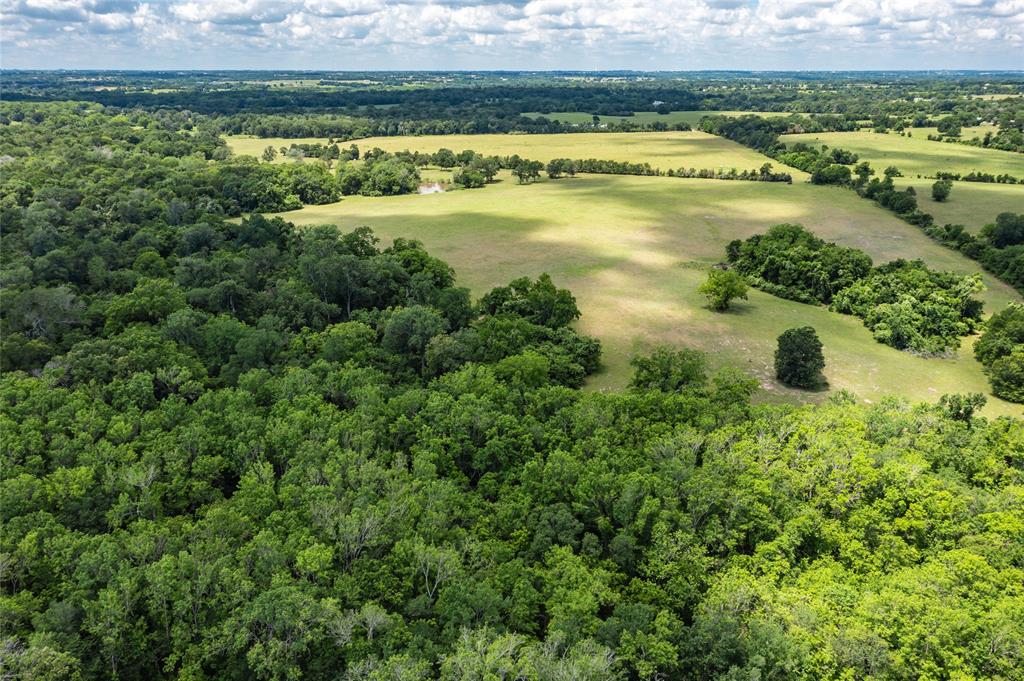 N Meyersville Road, Chappell Hill, Texas image 9