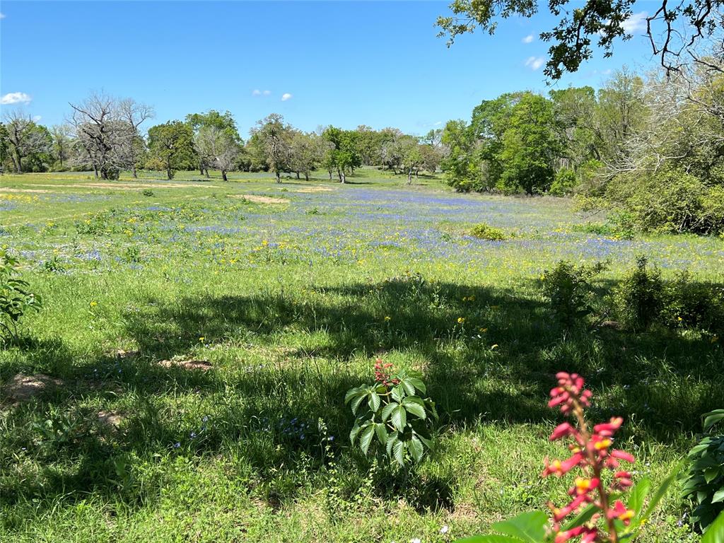 N Meyersville Road, Chappell Hill, Texas image 4