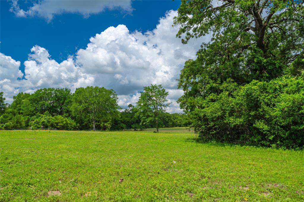 N Meyersville Road, Chappell Hill, Texas image 18