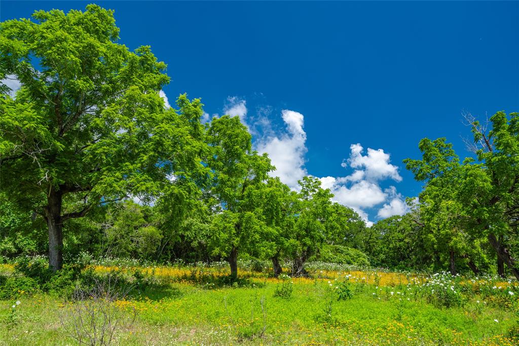 N Meyersville Road, Chappell Hill, Texas image 11