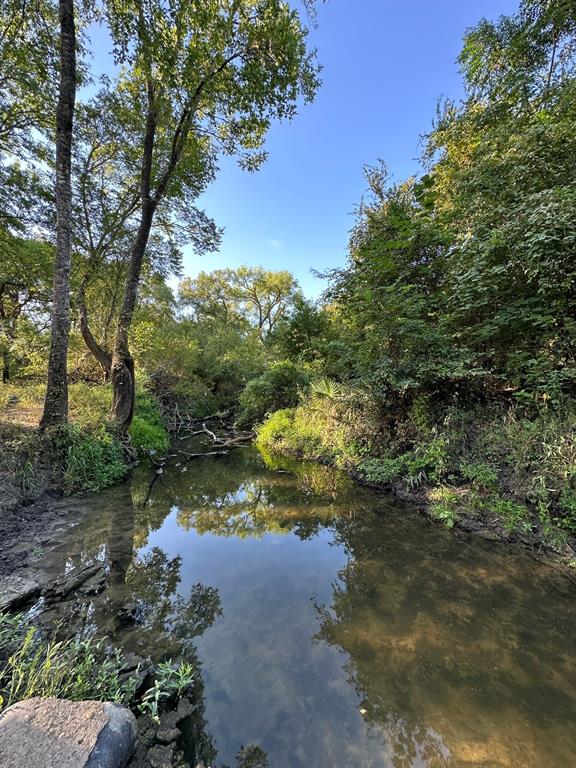 N Meyersville Road, Chappell Hill, Texas image 2