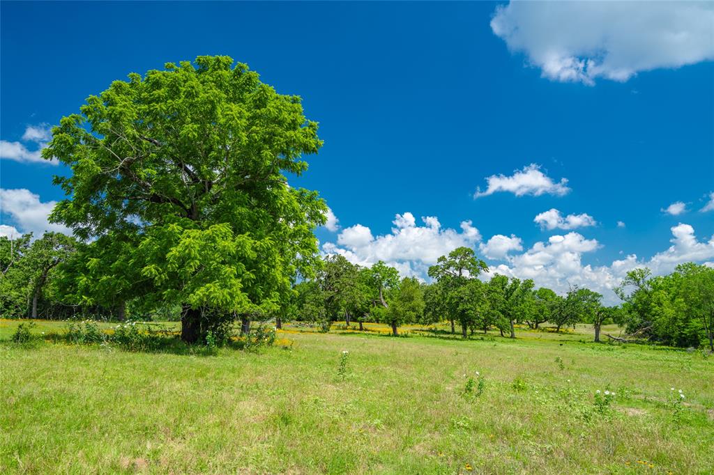 N Meyersville Road, Chappell Hill, Texas image 1