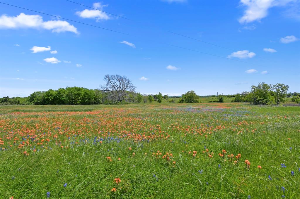 4232 Clover Road, Brenham, Texas image 47