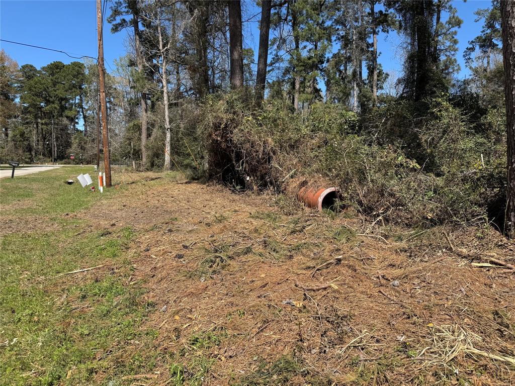 LOT 308 Seminole Circle, Onalaska, Texas image 6