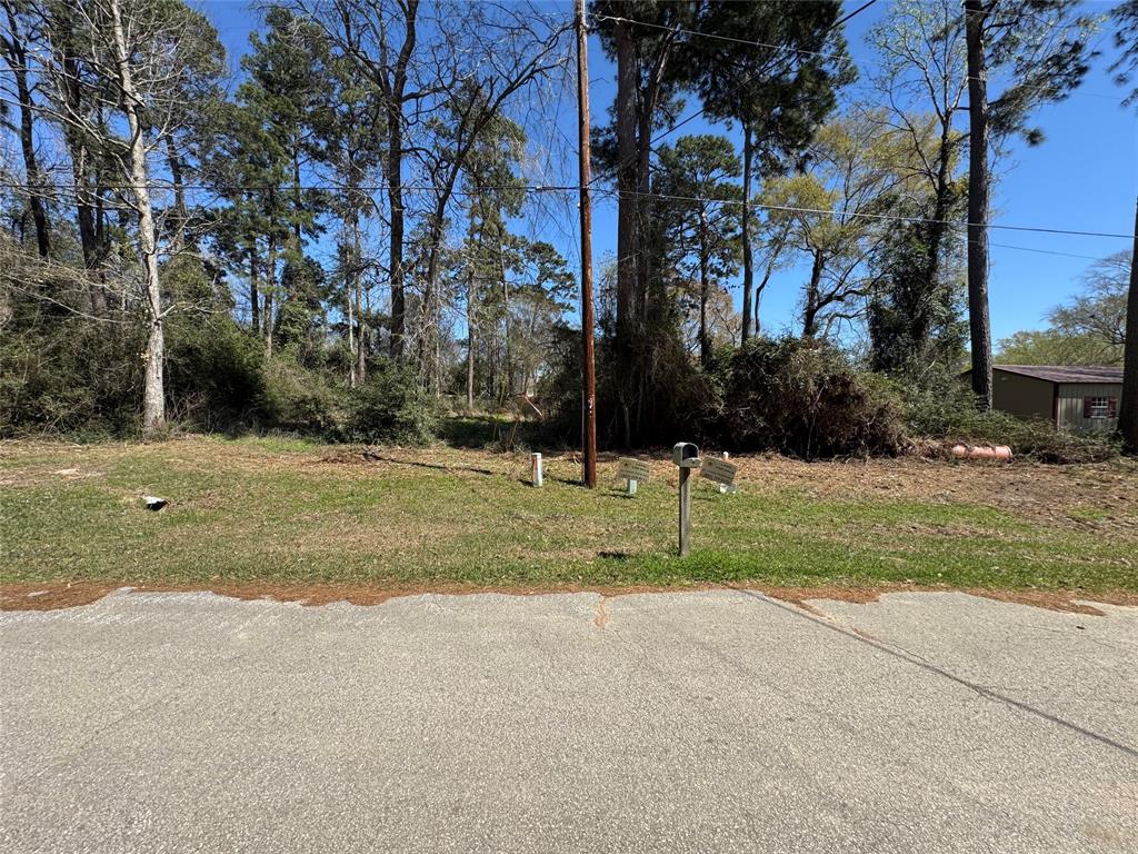 LOT 308 Seminole Circle, Onalaska, Texas image 1