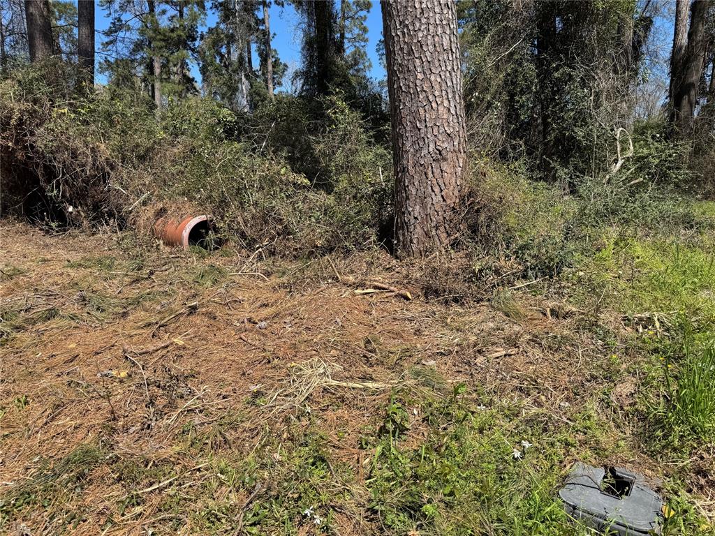 LOT 308 Seminole Circle, Onalaska, Texas image 4