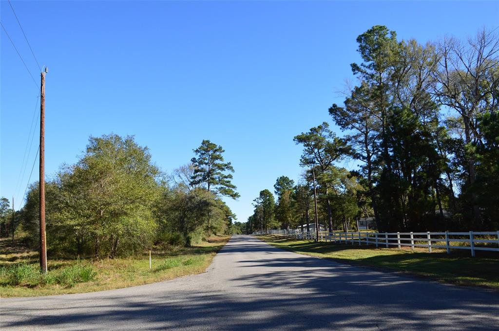 Tract #3 County Road 302, Plantersville, Texas image 21