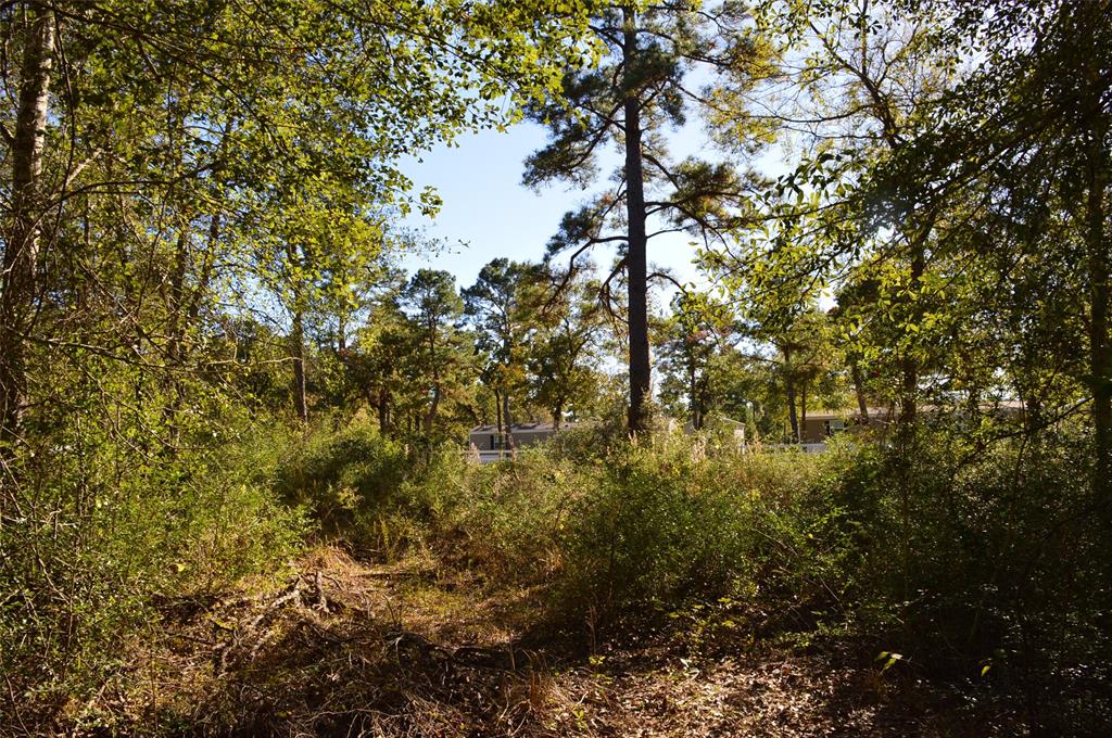 Tract #3 County Road 302, Plantersville, Texas image 18