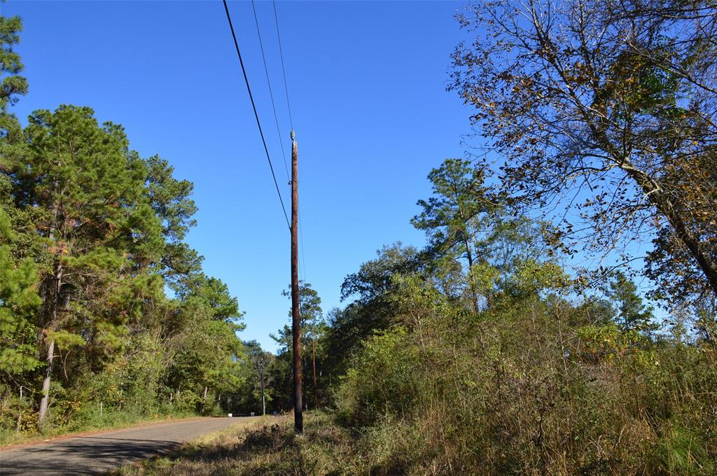 Tract #3 County Road 302, Plantersville, Texas image 12