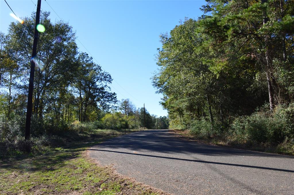 Tract #3 County Road 302, Plantersville, Texas image 3