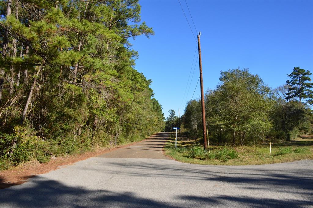 Tract #3 County Road 302, Plantersville, Texas image 22