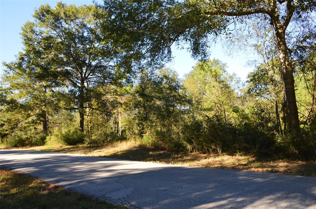 Tract #3 County Road 302, Plantersville, Texas image 1