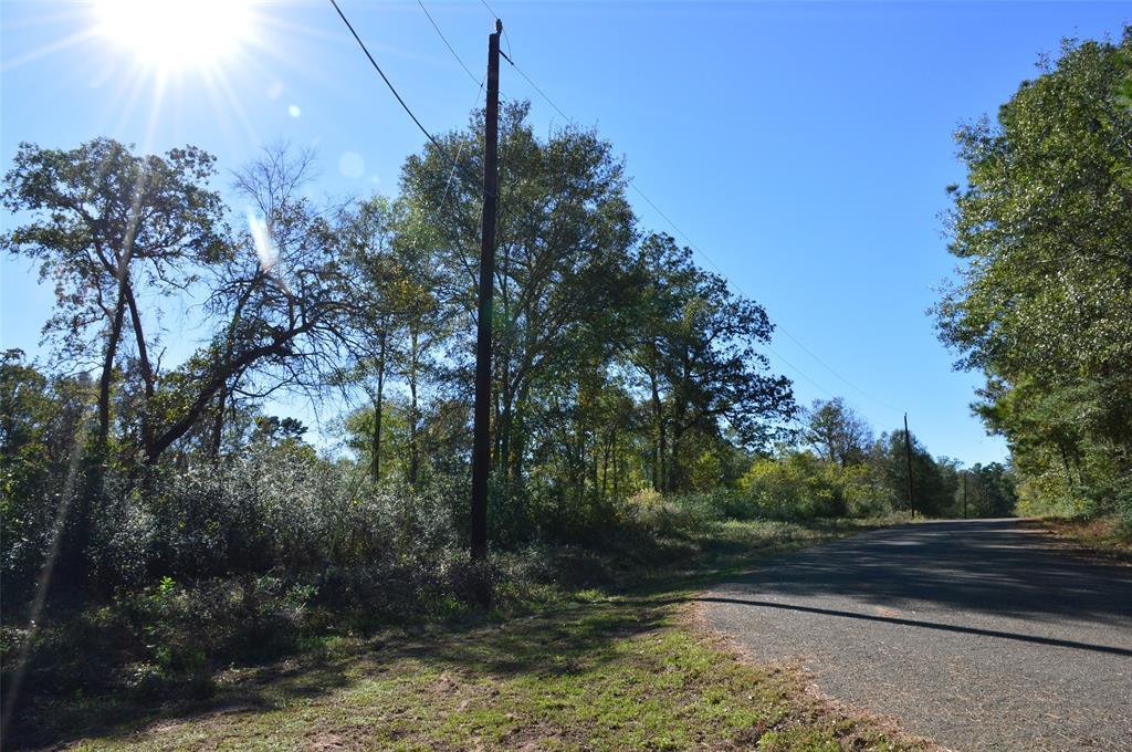 Tract #3 County Road 302, Plantersville, Texas image 4