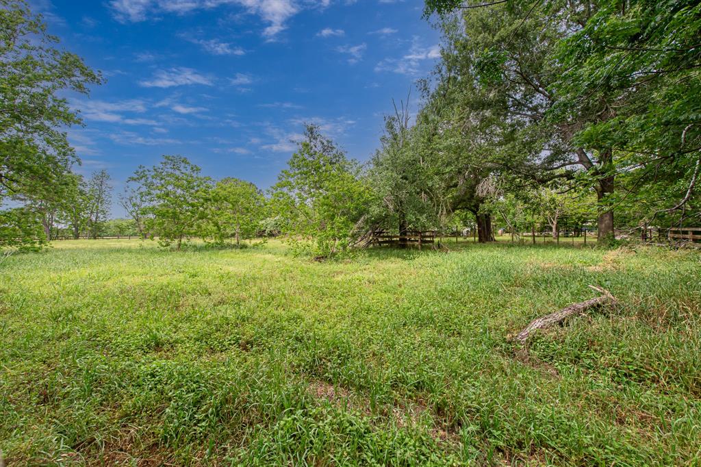29519 Marti Road, Katy, Texas image 40