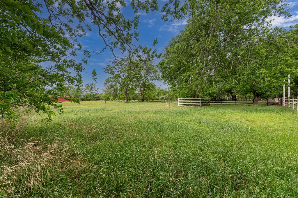 29519 Marti Road, Katy, Texas image 37