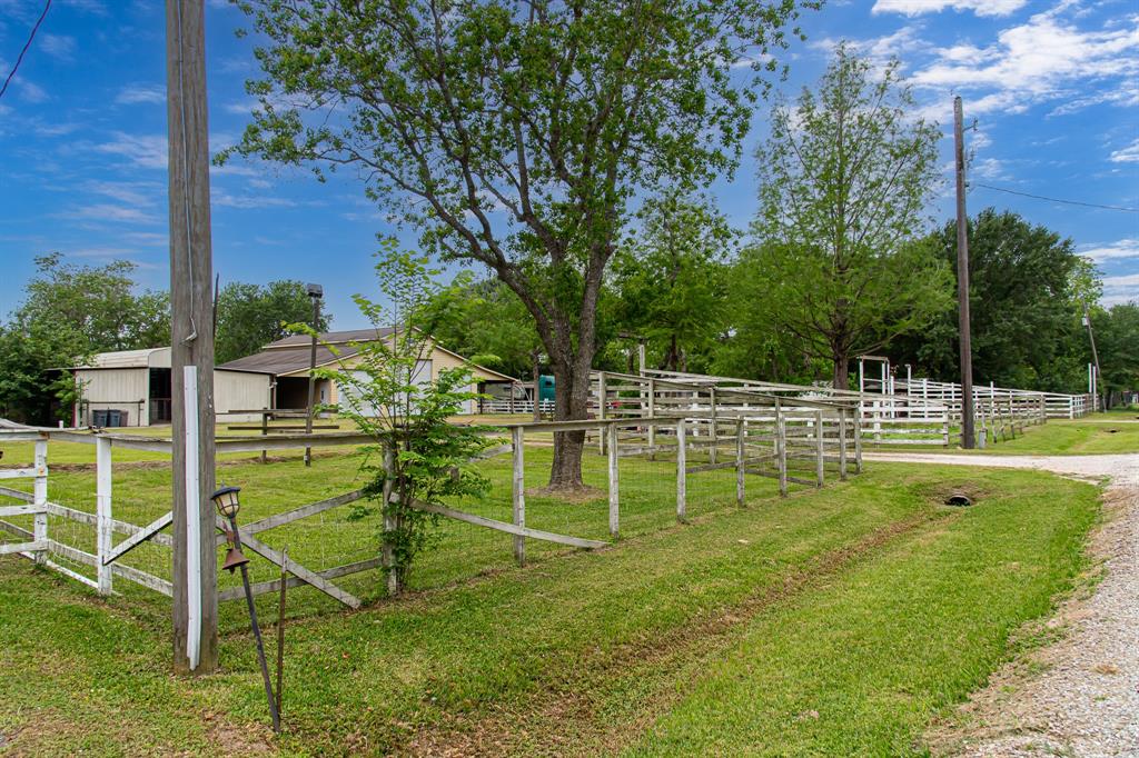 29519 Marti Road, Katy, Texas image 3
