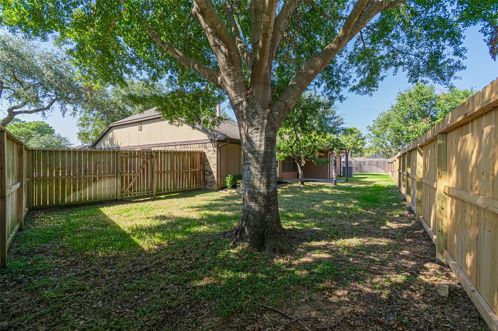 19202 Bristlestar Drive, Katy, Texas image 46