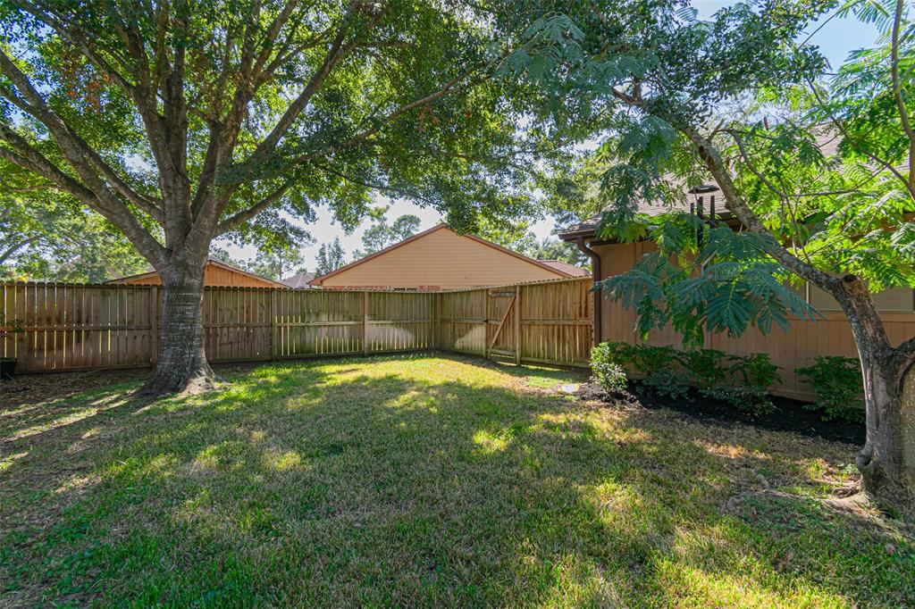 19202 Bristlestar Drive, Katy, Texas image 48