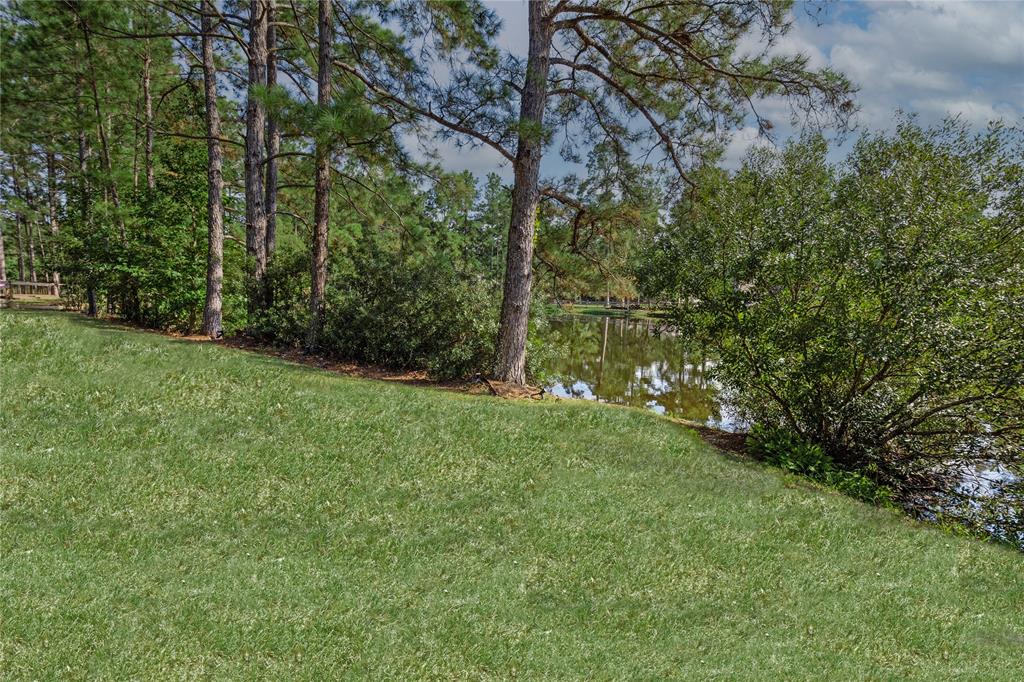 28116 Chuckwagon Trail, Magnolia, Texas image 32