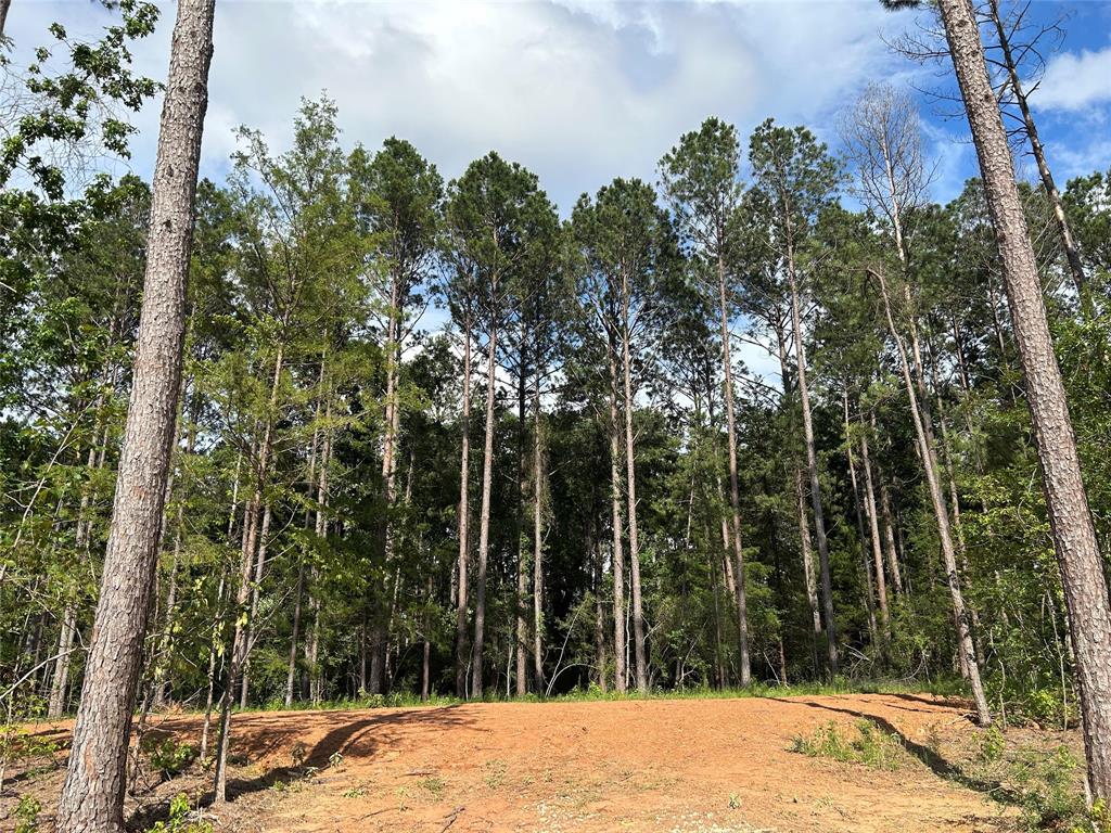 11362 Annie Creek Drive Dr, Willis, Texas image 2