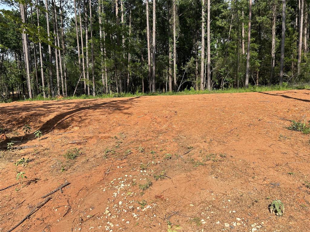 11362 Annie Creek Drive Dr, Willis, Texas image 3