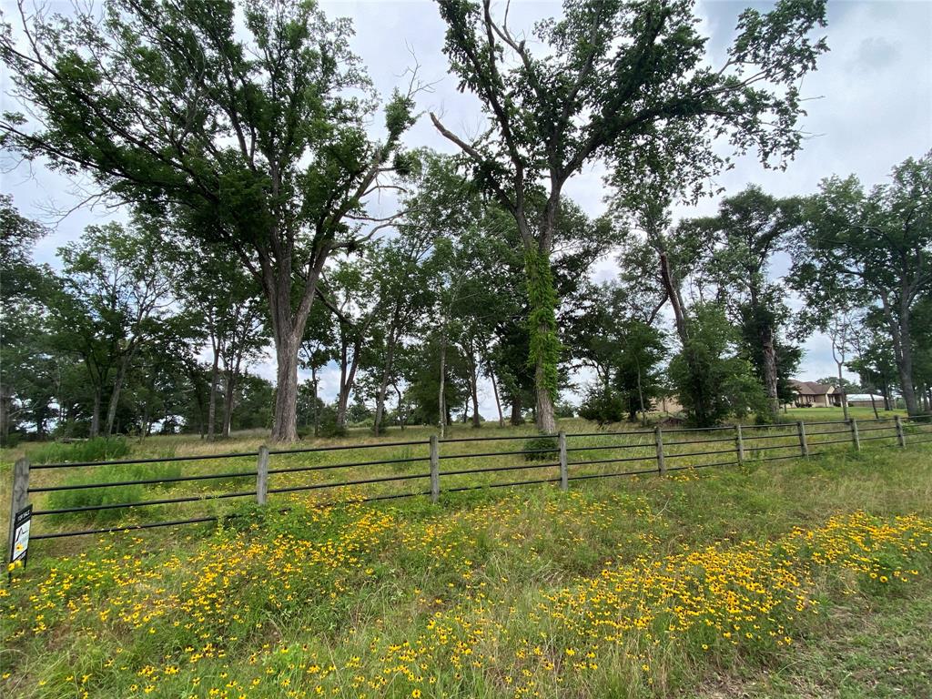 3878 Eli Road, Bellville, Texas image 9