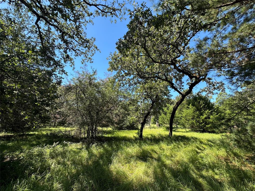 TBD Tract 2 Cr 481, Centerville, Texas image 8