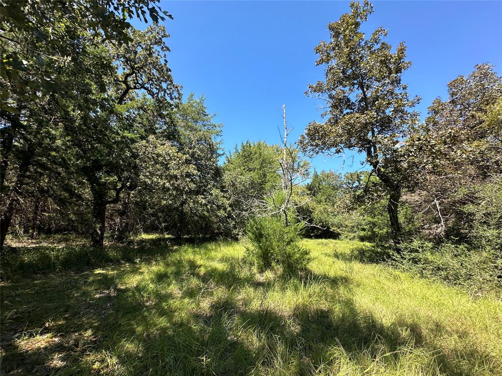 TBD Tract 2 Cr 481, Centerville, Texas image 16