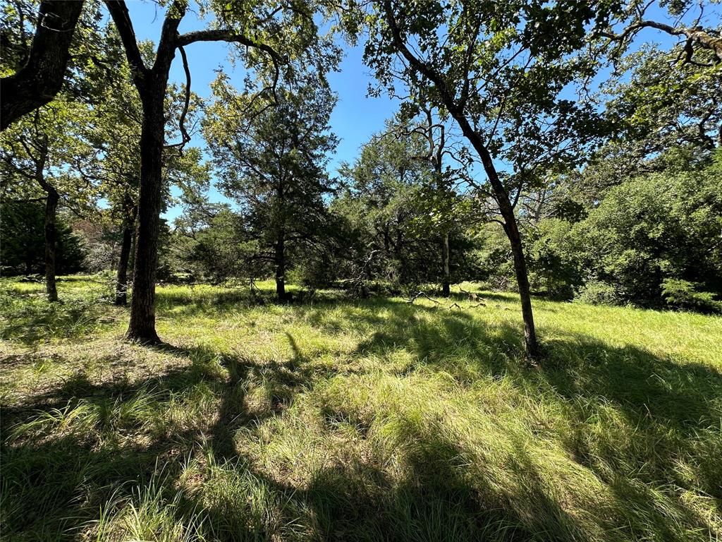 TBD Tract 2 Cr 481, Centerville, Texas image 24