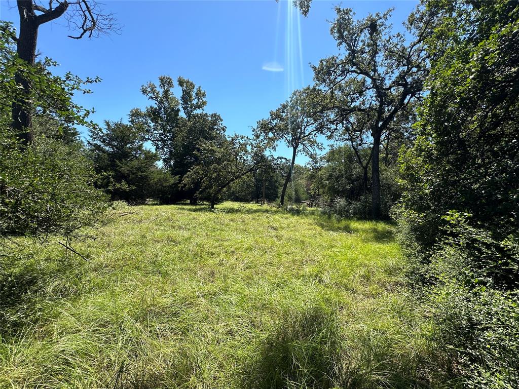 TBD Tract 2 Cr 481, Centerville, Texas image 23