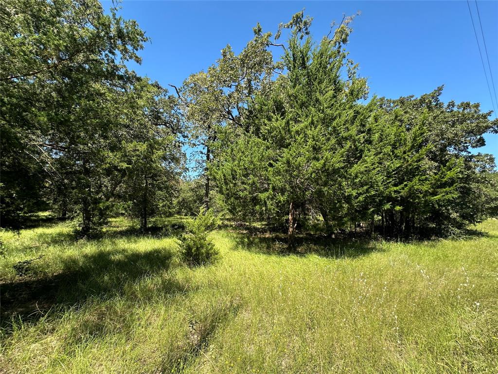 TBD Tract 2 Cr 481, Centerville, Texas image 5