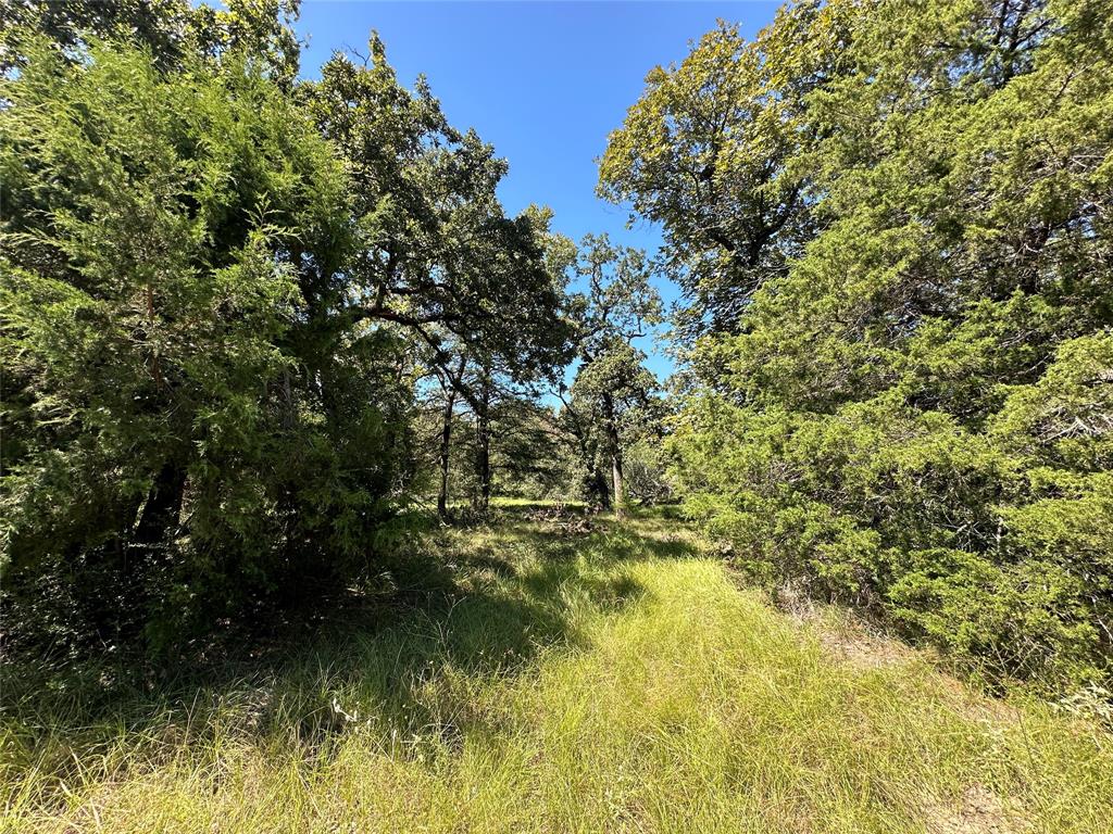 TBD Tract 2 Cr 481, Centerville, Texas image 6