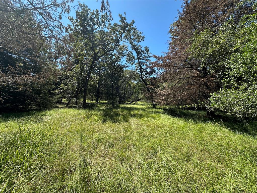 TBD Tract 2 Cr 481, Centerville, Texas image 9