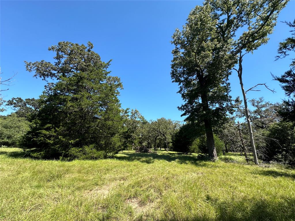 TBD Tract 2 Cr 481, Centerville, Texas image 11