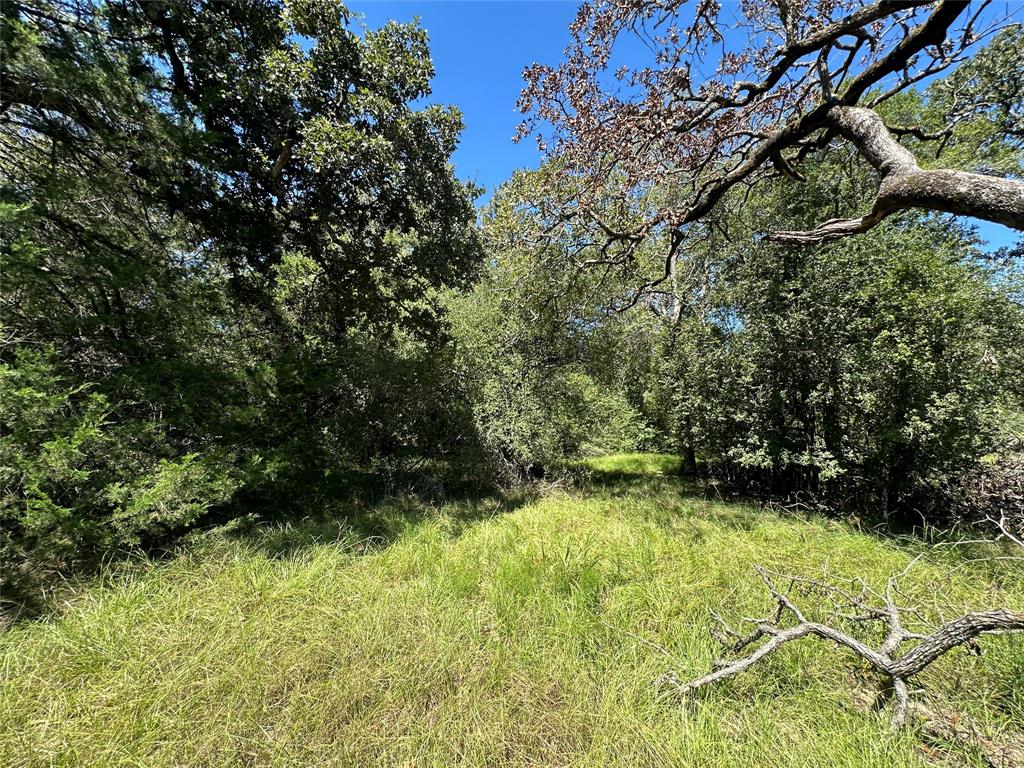 TBD Tract 2 Cr 481, Centerville, Texas image 12