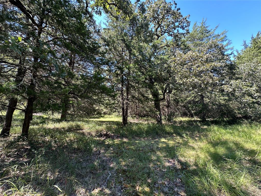 TBD Tract 2 Cr 481, Centerville, Texas image 17