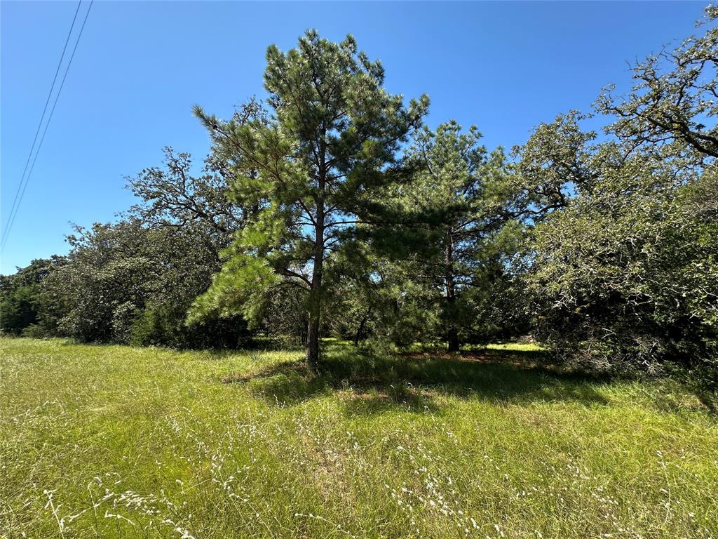 TBD Tract 2 Cr 481, Centerville, Texas image 7