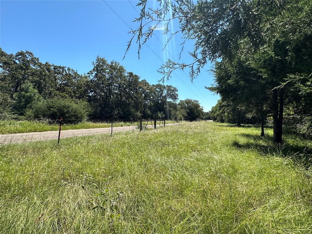 TBD Tract 2 Cr 481, Centerville, Texas image 26