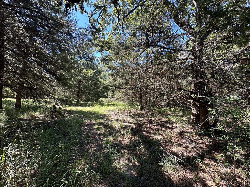 TBD Tract 2 Cr 481, Centerville, Texas image 18