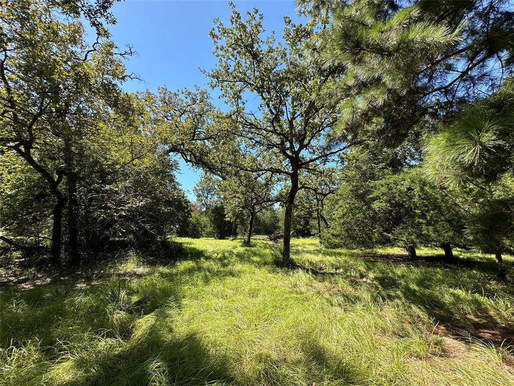 TBD Tract 2 Cr 481, Centerville, Texas image 25