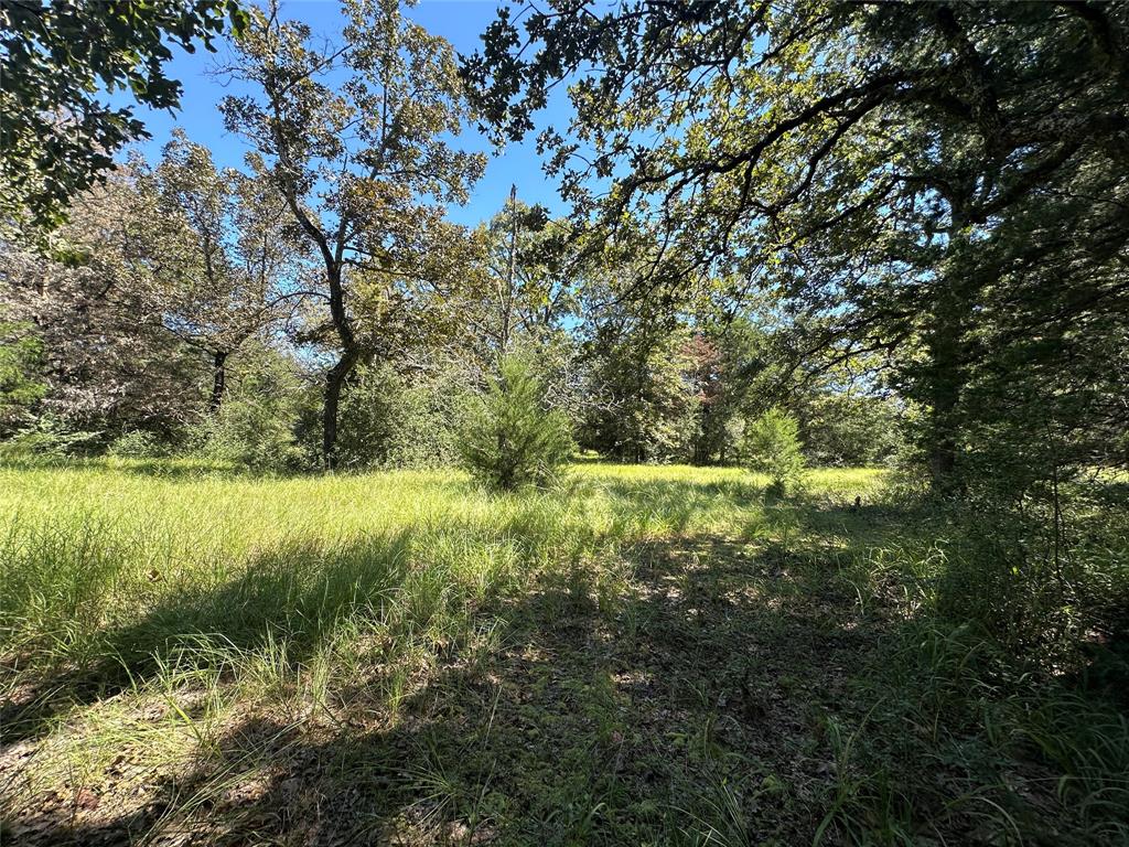 TBD Tract 2 Cr 481, Centerville, Texas image 19