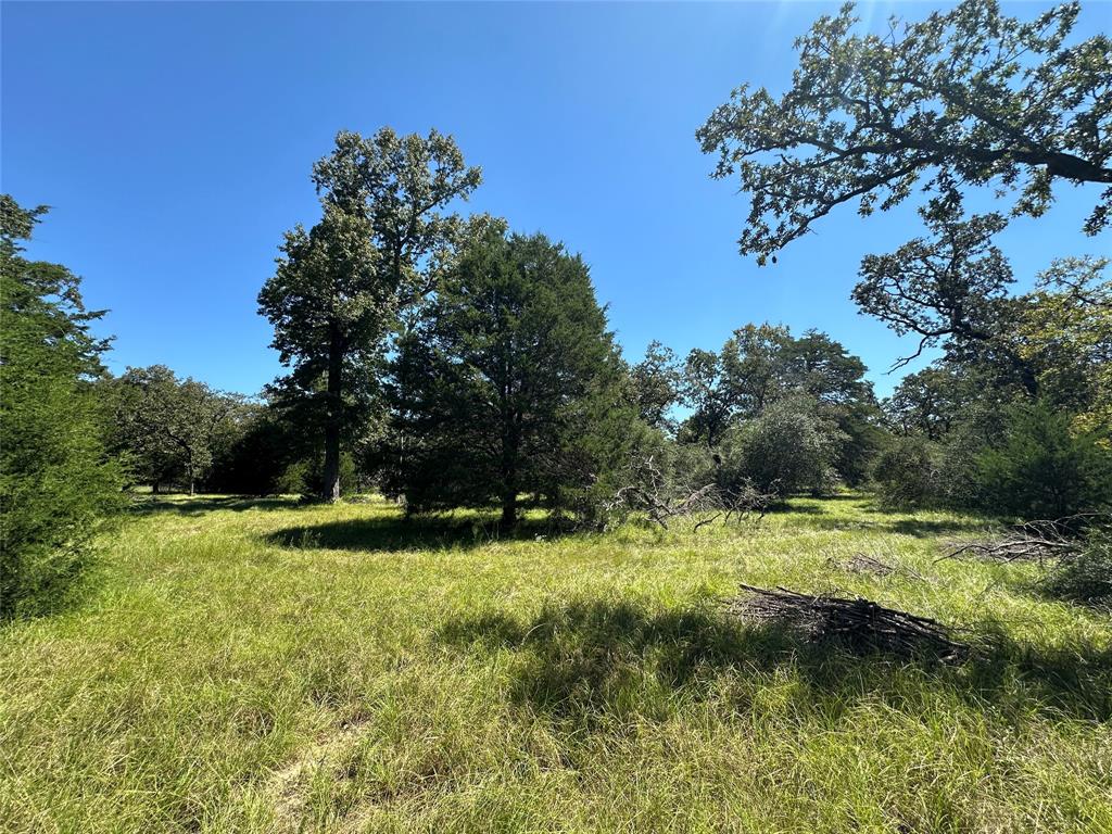 TBD Tract 2 Cr 481, Centerville, Texas image 13