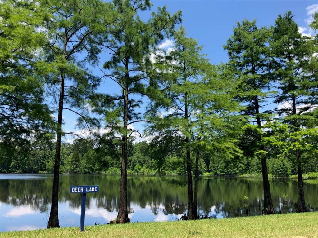 403 Venado View Court, Conroe, Texas image 16