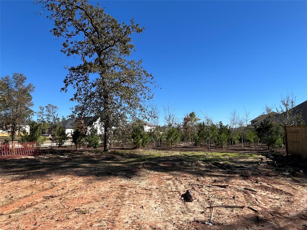 403 Venado View Court, Conroe, Texas image 10