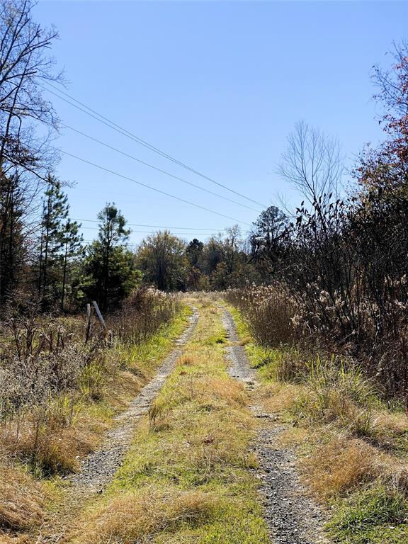 0TBD County Rd 3143, Mount Enterprise, Texas image 5