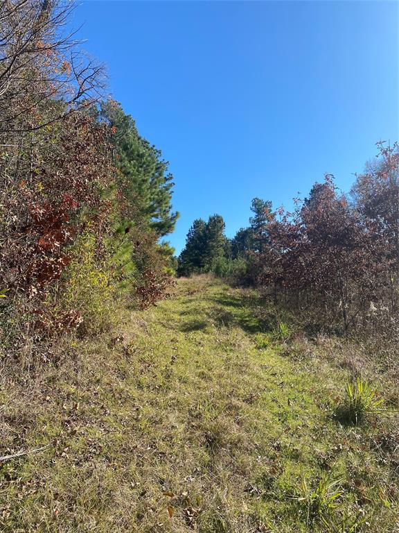 0TBD County Rd 3143, Mount Enterprise, Texas image 6