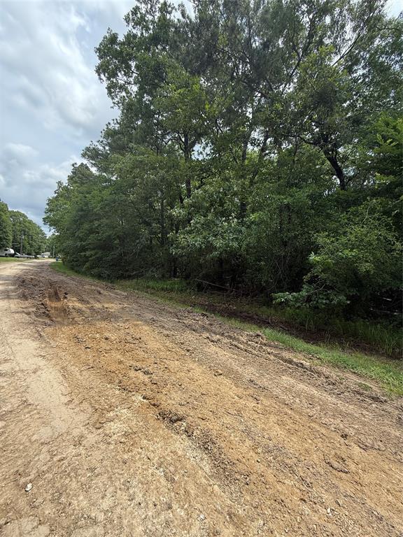 N/A Lakecrest, Livingston, Texas image 6