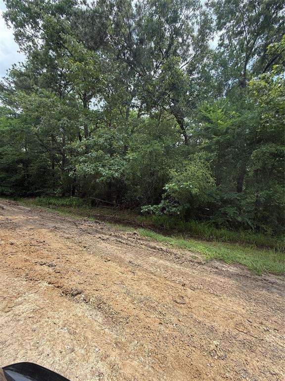 N/A Lakecrest, Livingston, Texas image 2