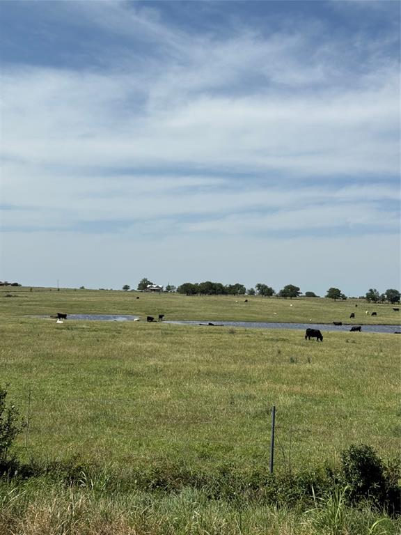 TR 2 1011 Fm 956 Road, Schulenburg, Texas image 13
